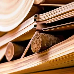 Как меняются свойства древесины в процессе сушки