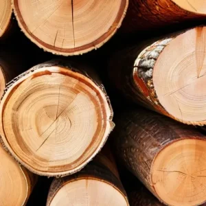 Почему вторичное использование древесных остатков становится важным для отрасли