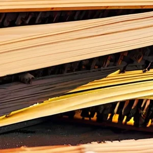 Почему защита древесины начинается задолго до ее использования