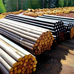 Экологическое состояние площадки деревообрабатывающего производства: что важно учитывать