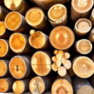 Как сушка древесины влияет на точность размеров и стабильность формы