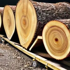 Защита древесины как элемент общей производственной ответственности