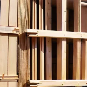 Биологическая устойчивость древесины как результат правильной подготовки