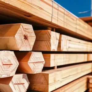 Древесина для строительных работ: как подготовка влияет на долговечность